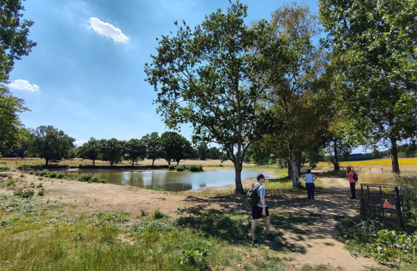 Обзор Fairphone 6: модульного смартфона, который можно ремонтировать самому Обзор Fairphone 6: модульного смартфона, который можно ремонтировать самому