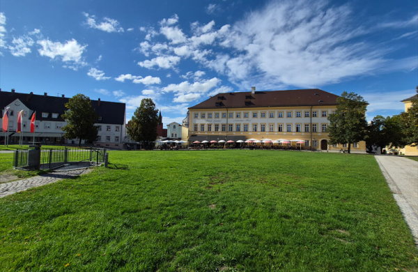 Обзор Samsung Galaxy S25 FE: чуть более доступного смартфона, не уступающего флагманам