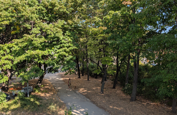 Обзор Google Pixel 10 Pro: флагманского смартфона для фанатов ИИ Обзор Google Pixel 10 Pro: флагманского смартфона для фанатов ИИ