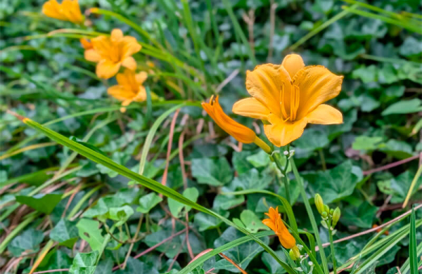 Обзор Google Pixel 10: компактного смартфона, не оправдавшего ожиданий Обзор Google Pixel 10: компактного смартфона, не оправдавшего ожиданий