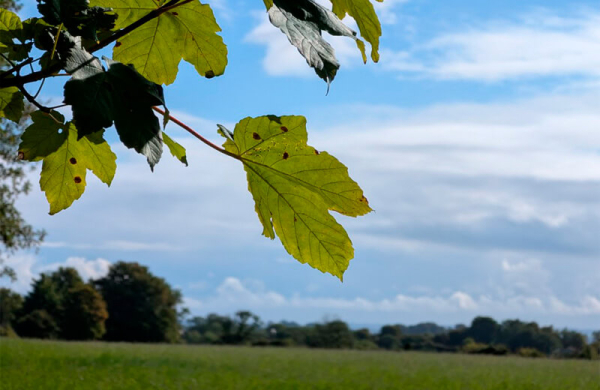 Обзор Google Pixel 10: компактного смартфона, не оправдавшего ожиданий Обзор Google Pixel 10: компактного смартфона, не оправдавшего ожиданий
