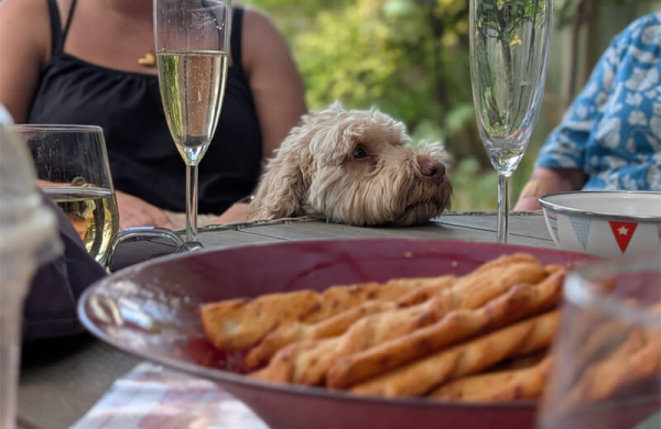 Обзор Google Pixel 10 Pro: флагманского смартфона для фанатов ИИ Обзор Google Pixel 10 Pro: флагманского смартфона для фанатов ИИ