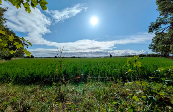 Обзор Google Pixel 10: компактного смартфона, не оправдавшего ожиданий Обзор Google Pixel 10: компактного смартфона, не оправдавшего ожиданий