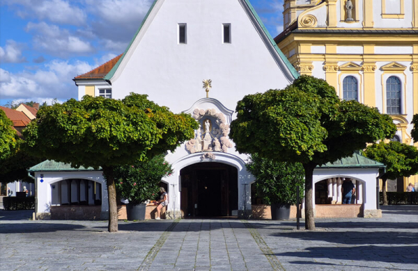 Обзор Samsung Galaxy S25 FE: чуть более доступного смартфона, не уступающего флагманам