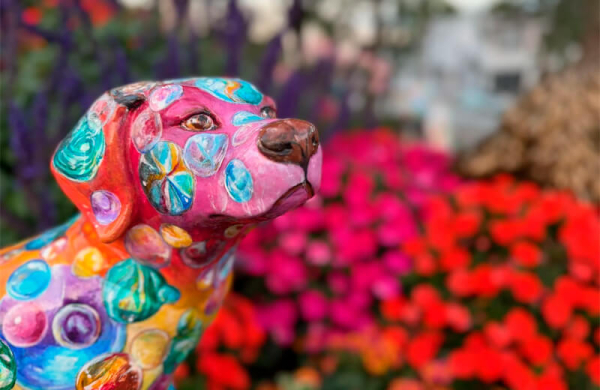 Обзор Apple iPhone 17 Pro Max: самого дорогого смартфона с множеством инноваций Обзор Apple iPhone 17 Pro Max: самого дорогого смартфона с множеством инноваций