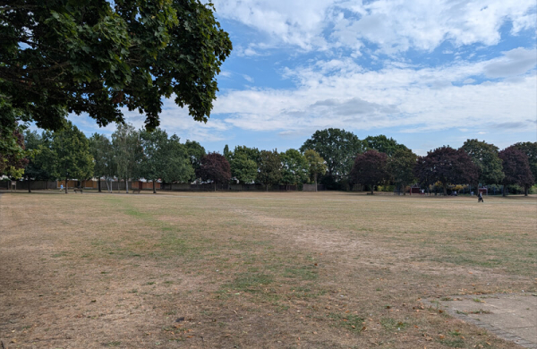 Обзор Google Pixel 10 Pro XL: инновационного смартфона с лучшими функциями ИИ Обзор Google Pixel 10 Pro XL: инновационного смартфона с лучшими функциями ИИ