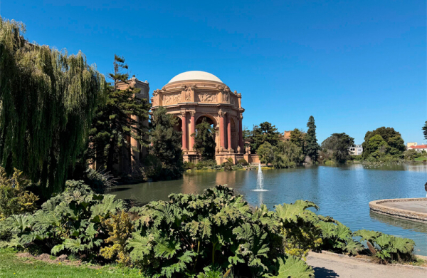 Обзор Apple iPhone 17 Pro Max: самого дорогого смартфона с множеством инноваций Обзор Apple iPhone 17 Pro Max: самого дорогого смартфона с множеством инноваций