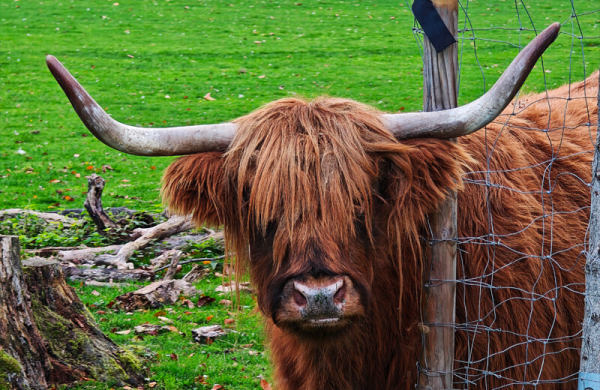 Обзор Xiaomi 17 Pro Max: лучший флагманский смартфон со вторым экраном Обзор Xiaomi 17 Pro Max: лучший флагманский смартфон со вторым экраном